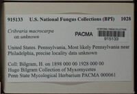 Image Associated With the Occurence